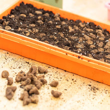 Load image into Gallery viewer, 1020 Seed Starting Trays - Colored