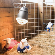 Load image into Gallery viewer, Newborn Lamb & Kid Covers