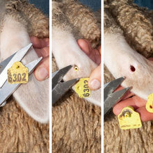 Load image into Gallery viewer, Premier Serrated Foot Trimmer