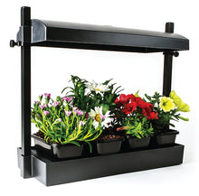 Load image into Gallery viewer, Micro LED Grow Light Garden, Black
