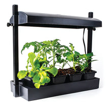 Load image into Gallery viewer, Micro LED Grow Light Garden, Black