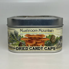 Load image into Gallery viewer, DRIED MUSHROOMS, CANDY CAP