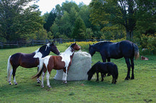 Load image into Gallery viewer, Slow Bale Buddy