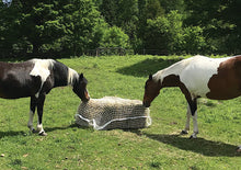 Load image into Gallery viewer, Slow Bale Buddy