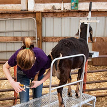 Load image into Gallery viewer, Milking Stand Kit
