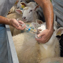 Load image into Gallery viewer, Small Flock Drencher