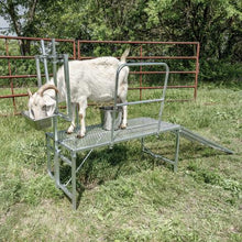 Load image into Gallery viewer, Milking Stand Kit