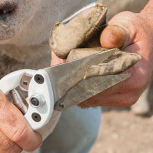 Load image into Gallery viewer, Premier Serrated Foot Trimmer