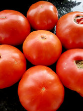 Load image into Gallery viewer, Colorado Beefsteak Tomato