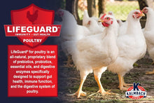 Load image into Gallery viewer, 22% ALL Natural Start to Finish Meatbird Crumbles - 10 lb
