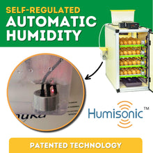 Load image into Gallery viewer, 240 Eggs Incubator Kit (120 Set + 120 Hatch)