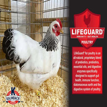 Load image into Gallery viewer, 24% Show Bird Poultry & Gamebird Starter Grower - 5 lb