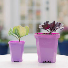 Load image into Gallery viewer, 3.3" Heavy Duty Seed Starting Pots with Inserts