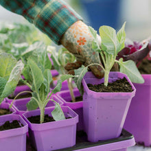 Load image into Gallery viewer, 3.3" Heavy Duty Seed Starting Pots with Inserts