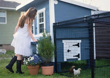 Load image into Gallery viewer, Large Chicken Coop - Up to 15 Chickens