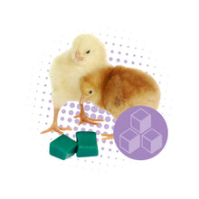 Load image into Gallery viewer, GroGel Chick Hydration