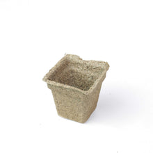 Load image into Gallery viewer, CowPots® #3 Square