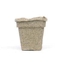Load image into Gallery viewer, CowPots® #3 Square