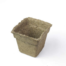 Load image into Gallery viewer, CowPots® #4 Square
