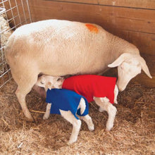 Load image into Gallery viewer, Newborn Lamb & Kid Covers