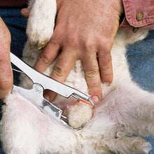 Load image into Gallery viewer, Rubber "O" Rings