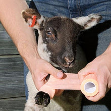 Load image into Gallery viewer, Sureflexx Elastic Bandage Wrap