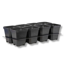 Load image into Gallery viewer, 5" Nursery Pots with Insert Tray