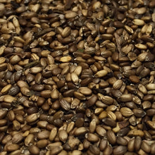 Load image into Gallery viewer, Bergamot, Lavender (Monarda fistulosa)