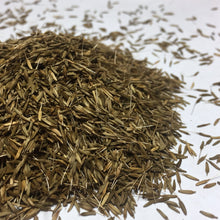 Load image into Gallery viewer, Dandelion (Taraxacum officinale)