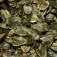 Load image into Gallery viewer, Cup Plant (Silphium perfoliatum)