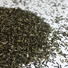 Load image into Gallery viewer, Boneset (Eupatorium perfoliatum)