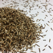 Load image into Gallery viewer, Elecampane (Inula helenium)