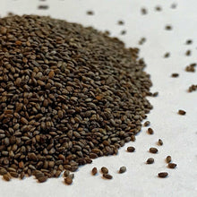 Load image into Gallery viewer, Bee Balm, Spotted (Monarda punctata)