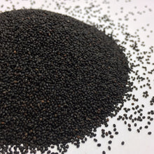 Load image into Gallery viewer, Tulsi, Temperate aka. Holy Basil (Ocimum africanum)