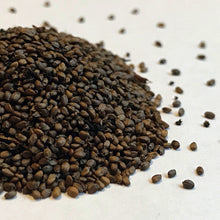 Load image into Gallery viewer, Bee Balm, Scarlet (Monarda didyma)