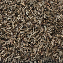 Load image into Gallery viewer, Coneflower, Orange (Rudbeckia fulgida)