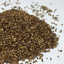 Load image into Gallery viewer, Bergamot, Lavender (Monarda fistulosa)