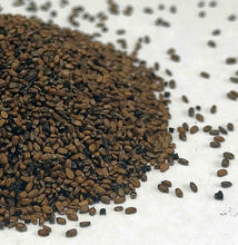 Load image into Gallery viewer, Bee Balm, Bradbury's (Monarda bradburiana)