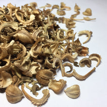 Load image into Gallery viewer, Calendula, Orange (Calendula officinalis)