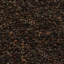 Load image into Gallery viewer, Catnip, Official (Nepeta cataria)