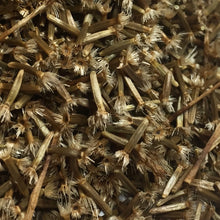 Load image into Gallery viewer, Elecampane (Inula helenium)