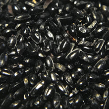 Load image into Gallery viewer, Columbine, Eastern Red (Aquilegia canadensis)