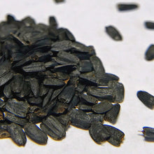 Load image into Gallery viewer, Coneflower, Prairie (Ratibida pinnata)