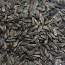 Load image into Gallery viewer, Burdock, Gobo (Arctium lappa)