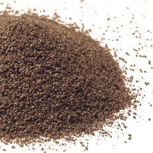 Load image into Gallery viewer, Culver's Root (Veronicastrum virginicum)