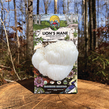 Load image into Gallery viewer, Lions Mane Pom Pom Mushroom Fruiting Kit