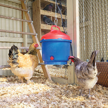 Load image into Gallery viewer, Heated Poultry Waterer
