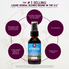 Load image into Gallery viewer, Attention Ally Focus Friend for Kids