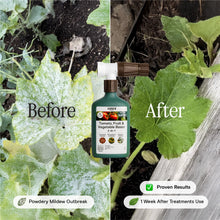 Load image into Gallery viewer, Organic Tomato, Fruit & Vegetable Boost