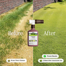 Load image into Gallery viewer, Organic Fungicide for Grass, Trees & Shrubs